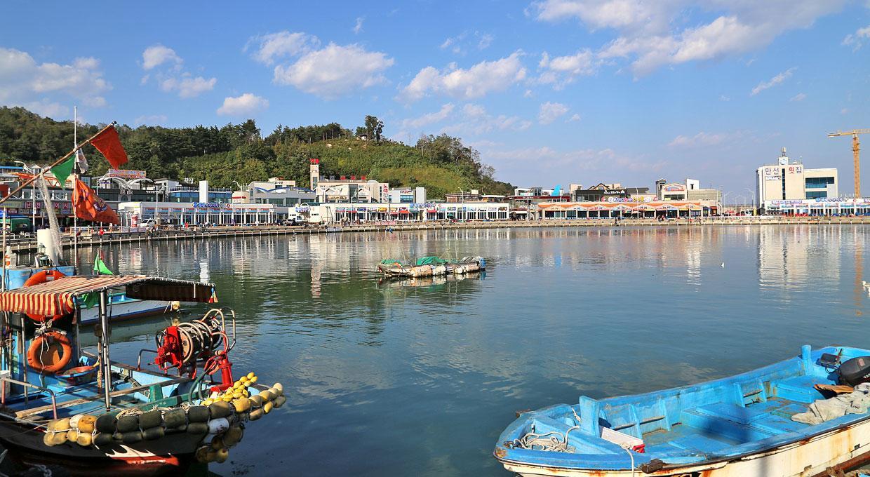 Seogwipo Port Avenue Hostel Ngoại thất bức ảnh